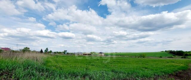 земля ул Крайняя 25б фото