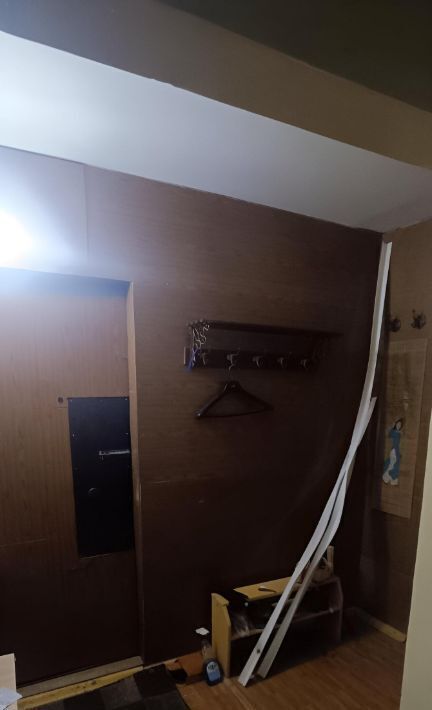 квартира г Нижний Новгород р-н Автозаводский Парк культуры ул Героя Советского Союза Прыгунова 31 фото 8