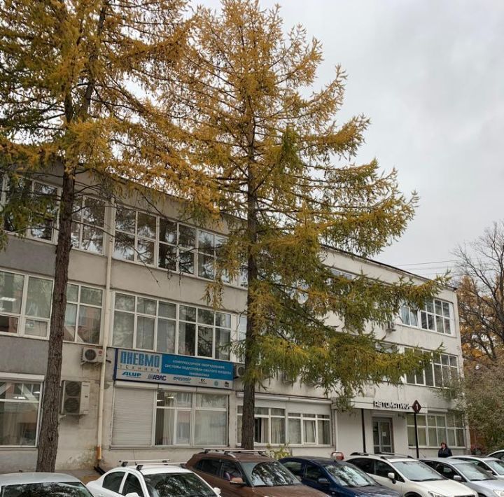 офис г Екатеринбург р-н Кировский пер Автоматики 1 Площадь 1905 года фото 3