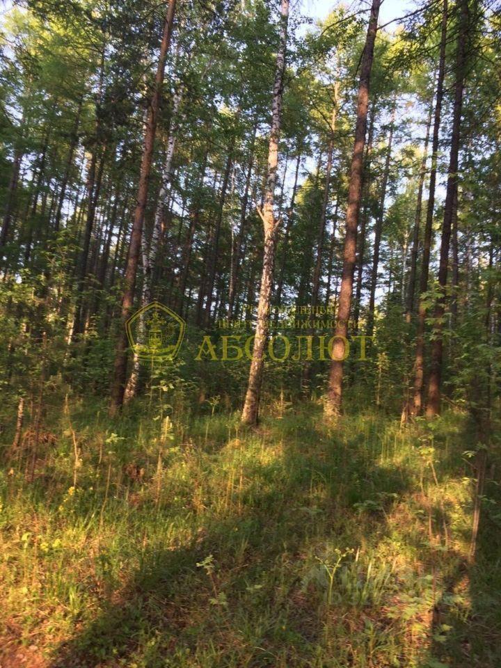 земля г Дегтярск фото 8