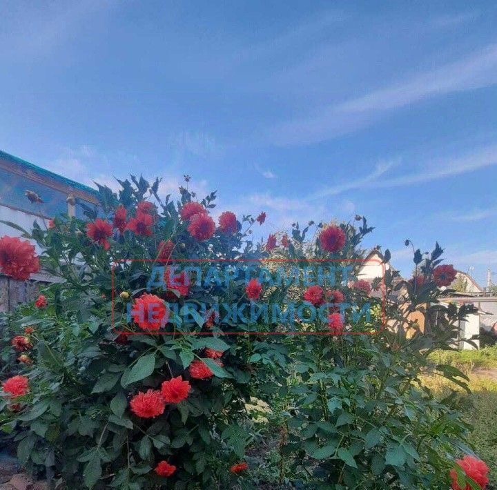 дом г Димитровград ул Андреева 4 фото 5