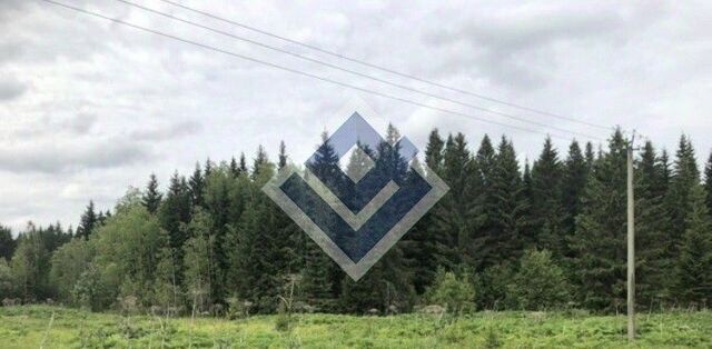 ул Дальняя 18 фото