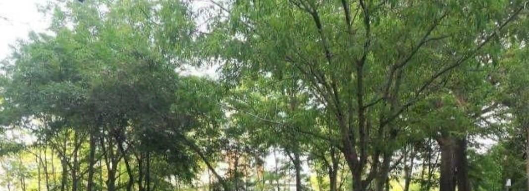 комната г Владивосток р-н Фрунзенский ул Анисимова 17 фото 16