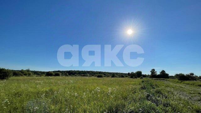 ул Лесная Речицы, Раменский муниципальный округ, 3 фото