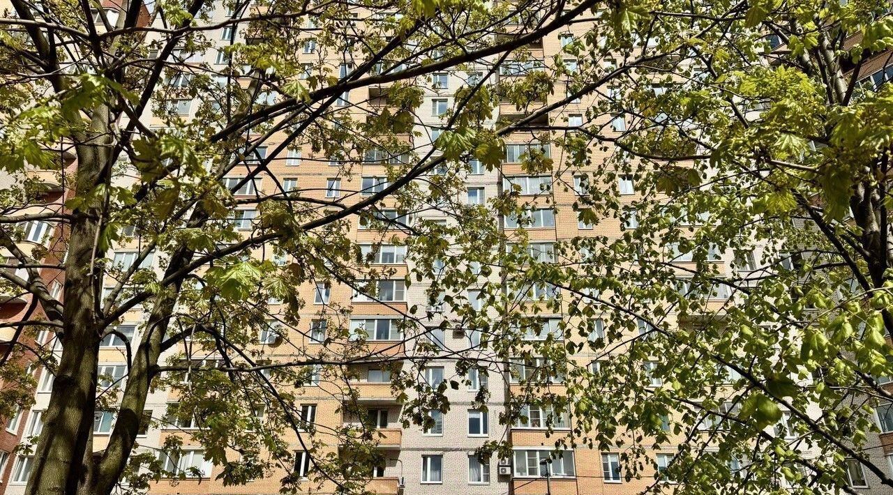 квартира г Санкт-Петербург метро Ленинский Проспект пр-кт Ленинский 111 округ Дачное фото 26