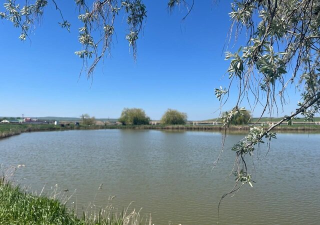 Балахоновское фото
