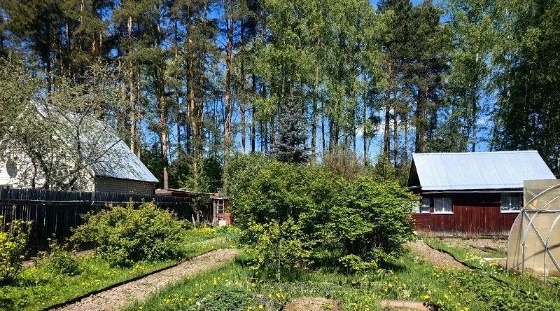 дом городской округ Богородский г Ногинск снт Березка-4 фото 2