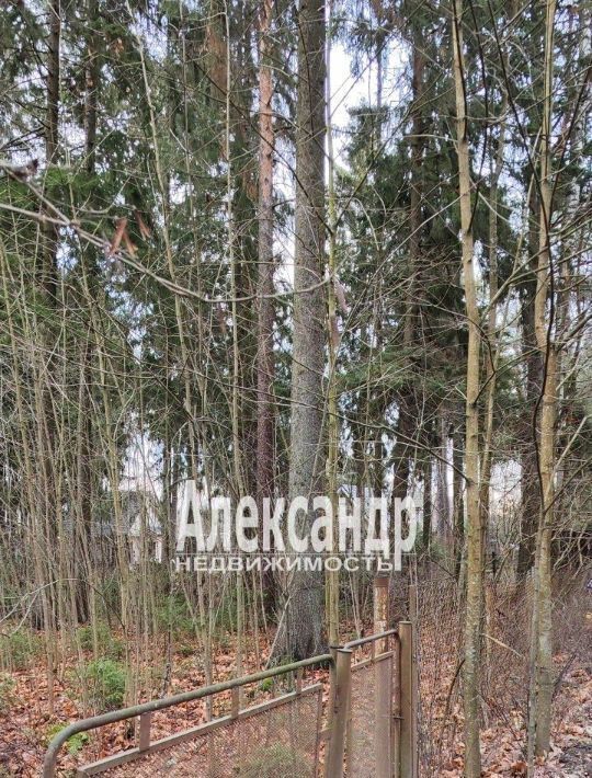 земля р-н Всеволожский г Всеволожск пр-кт Торговый 179 Ладожская фото 3