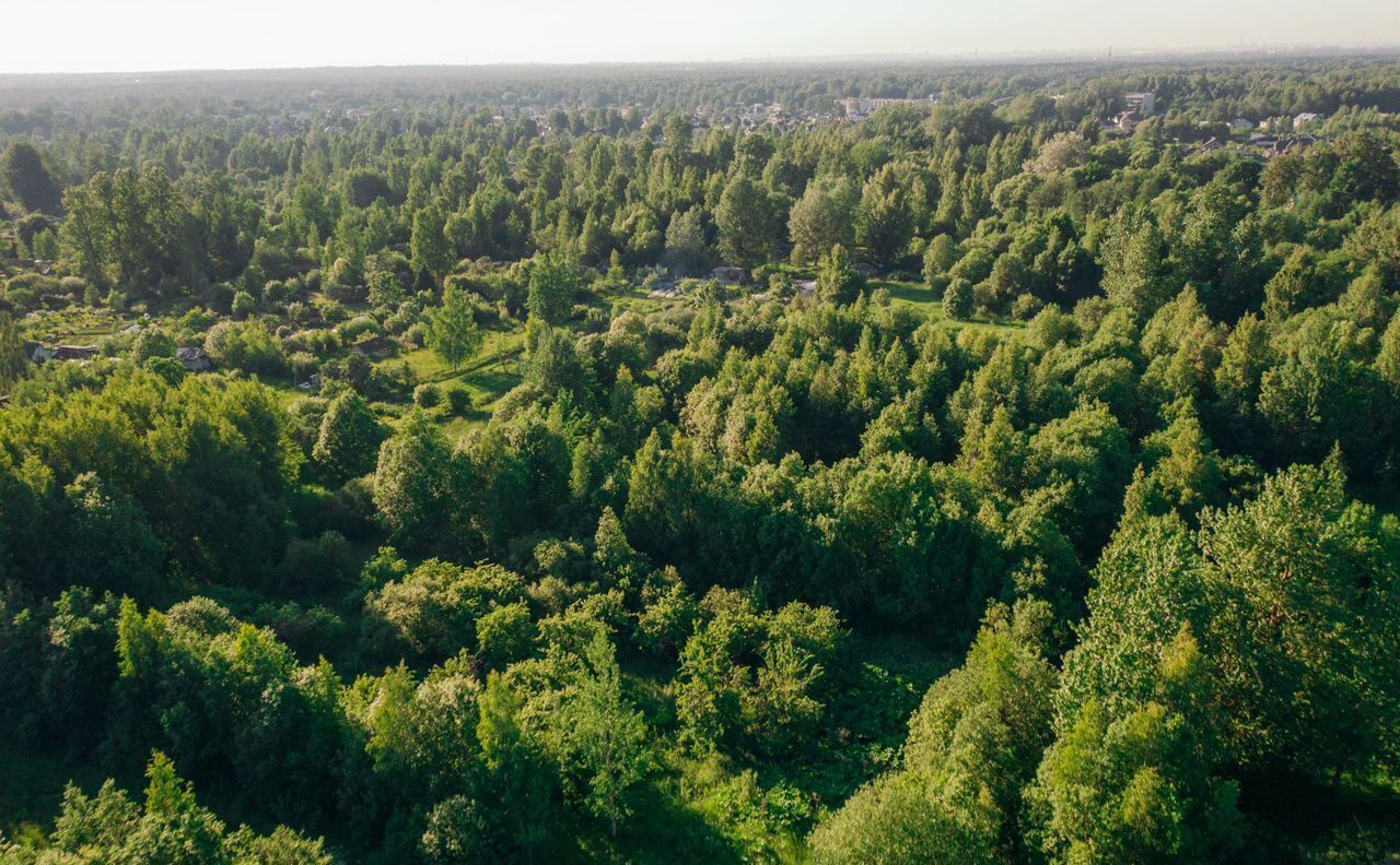 земля г Павловск р-н Пушкинский Московское шоссе, 17 км фото 8