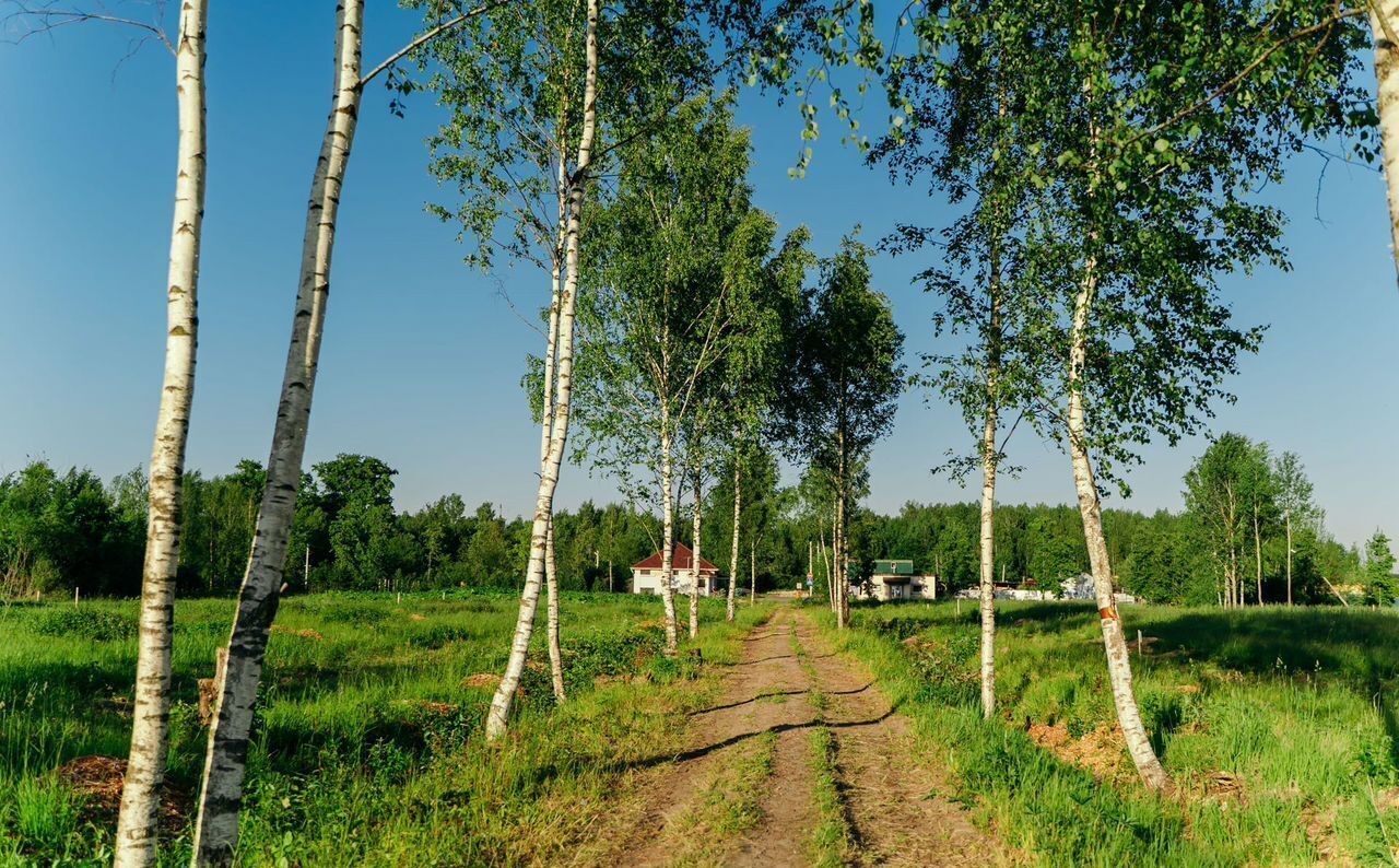 земля г Павловск р-н Пушкинский Московское шоссе, 17 км фото 10