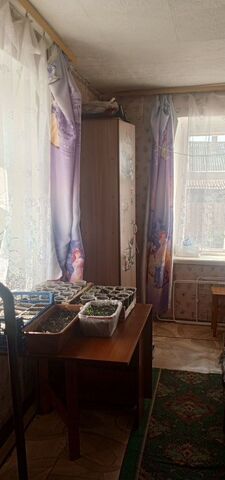 с Жидка Шелопугино фото