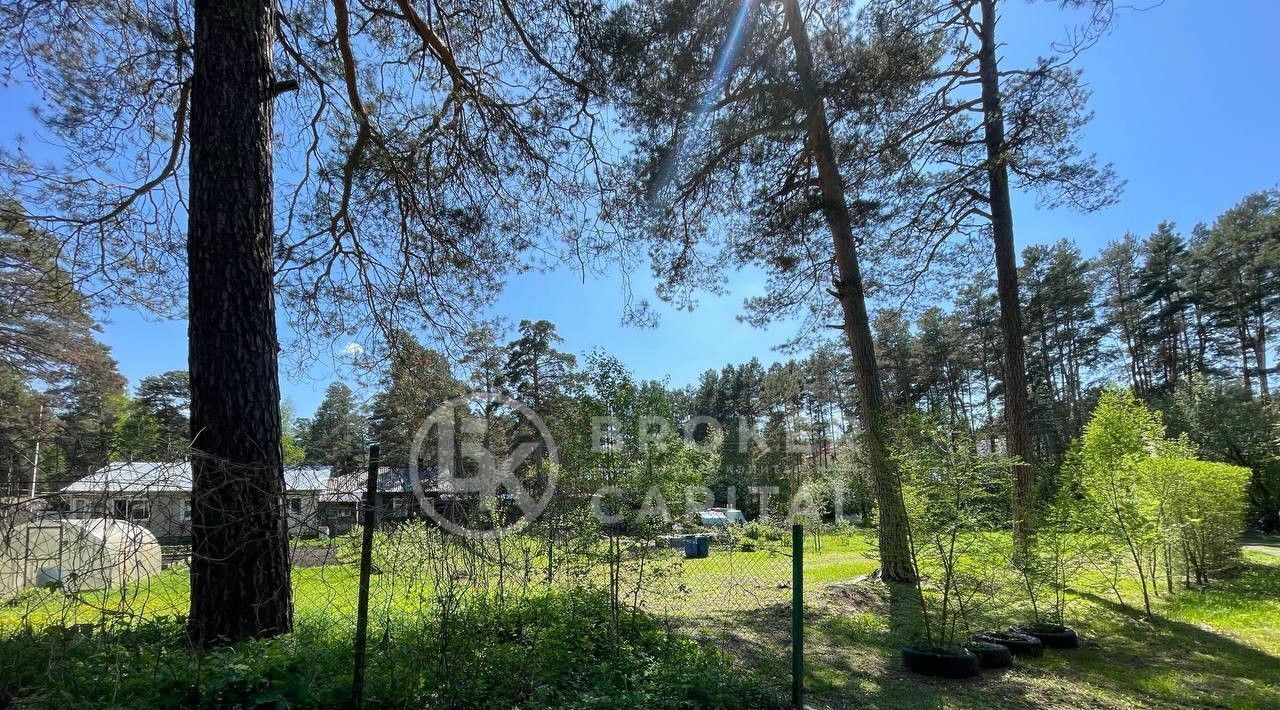 земля г Новосибирск р-н Заельцовский Заельцовская ш Дачное фото 4