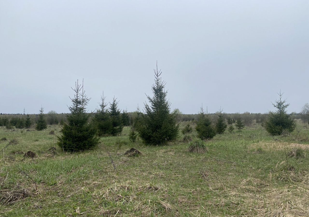 земля городской округ Наро-Фоминский г Апрелевка 29 км, коттеджный пос. Кедрица, 2-я очередь, Киевское шоссе фото 1