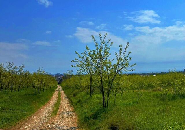 Скифская ул, Анапа фото