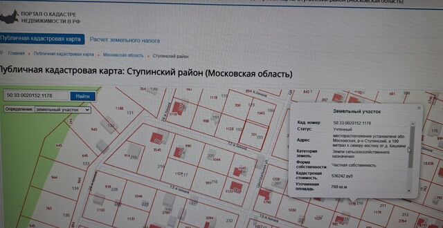 50 км, СНТ Лисичкино, 210, Михнево, Новокаширское шоссе фото