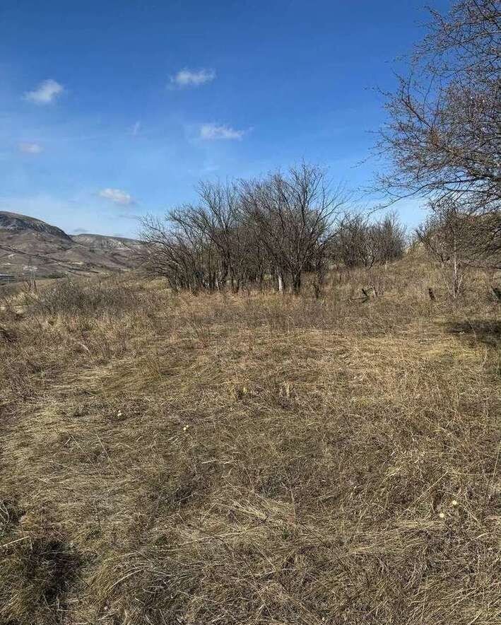 земля г Кисловодск снт Бештау 552 фото 4