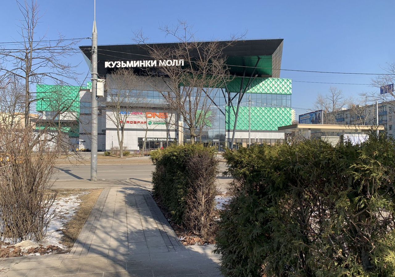 квартира г Москва метро Кузьминки ул Маршала Чуйкова 8 муниципальный округ Кузьминки фото 31