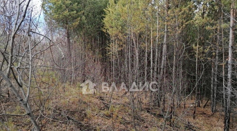 земля г Иркутск мкр Славный ул Заветная р-н Правобережный фото 1