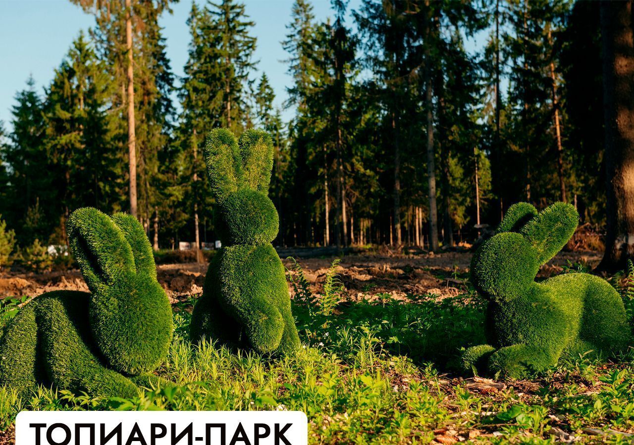 земля г Клин 54 км, эко-посёлок Ели эстейт, Новопетровское, Ленинградское шоссе фото 19