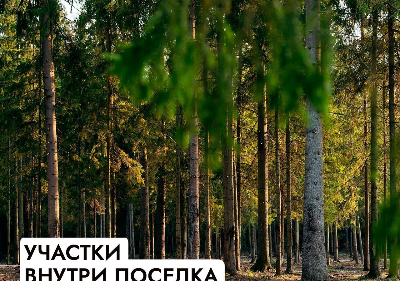 земля г Клин 54 км, эко-посёлок Ели эстейт, Новопетровское, Ленинградское шоссе фото 17