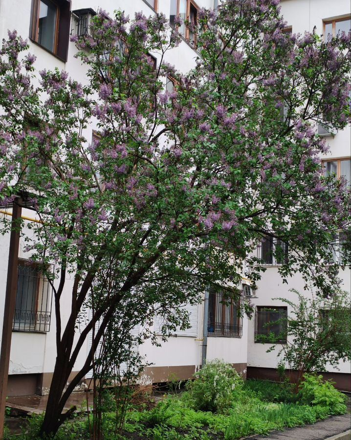 квартира г Самара р-н Самарский Алабинская ул Садовая 111б фото 14