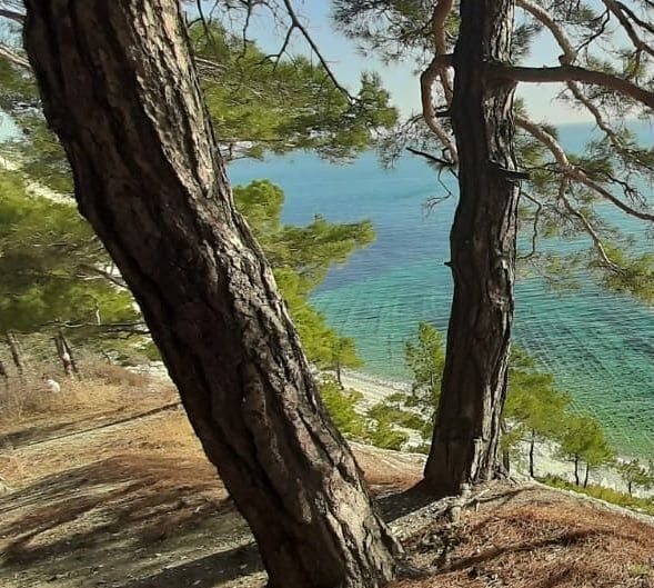комната г Геленджик снт Голубая Долина 97 фото 23