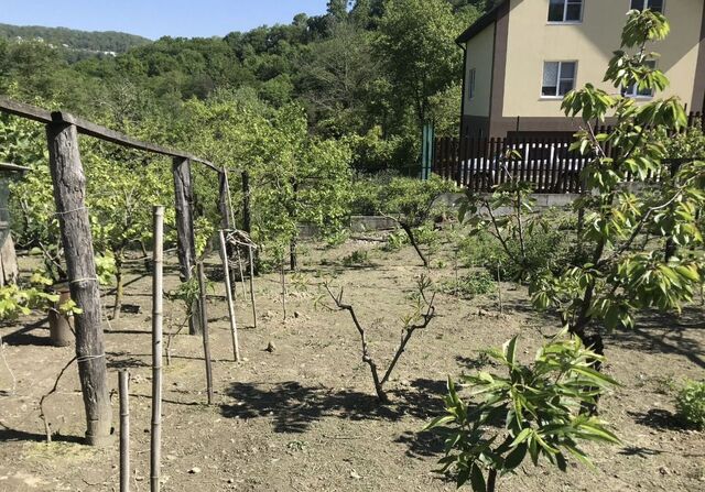 г Сочи с Васильевка ул Братьев Еремян 1а фото