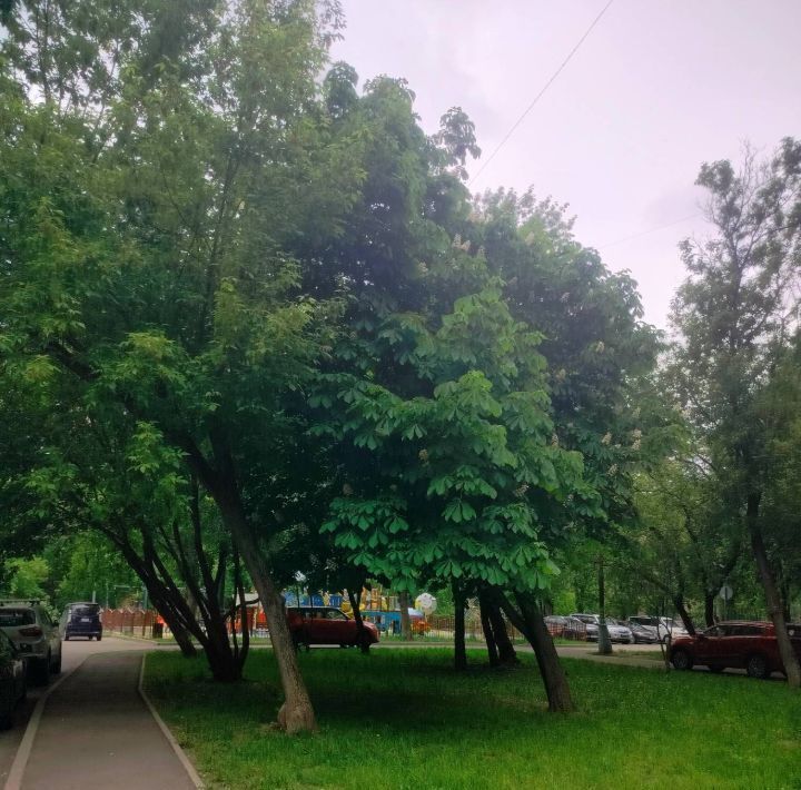 квартира г Москва метро Шелепиха проезд Мукомольный 9к/1 фото 27