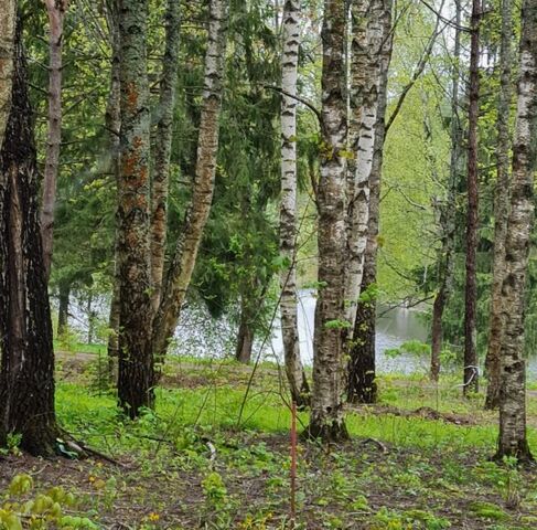 земля п дома отдыха Бекасово фото