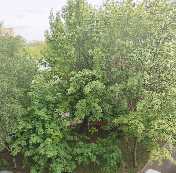 квартира г Москва метро Таганская ул Малые Каменщики 14 фото 23