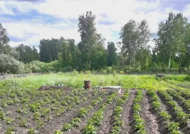 Богандинский фото