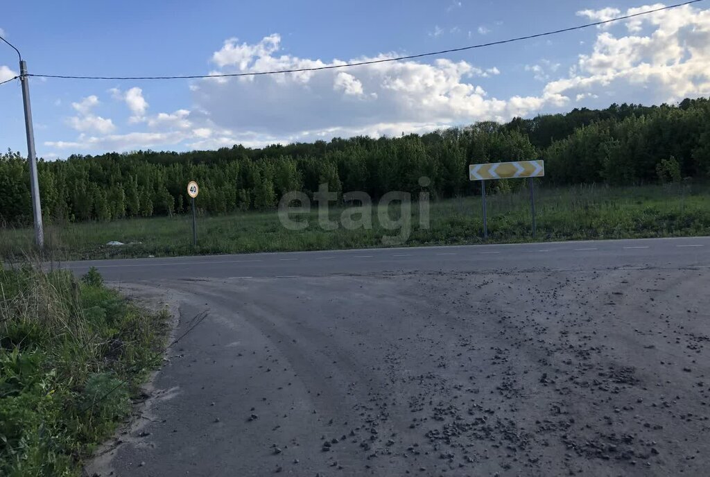 земля г Саранск рп Николаевка ул Южная фото 2