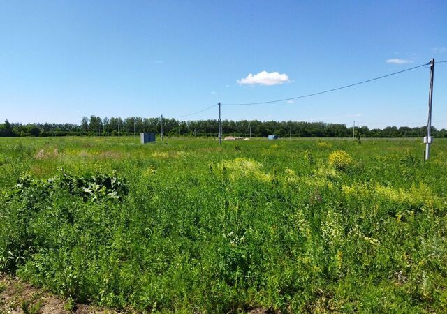Республика Татарстан Татарстан, Егорьевское сельское поселение, некоммерческое партнёрство Зимняя Горка-2, ул. Абдуллы Алиша, Лаишевский р-н, Казань фото