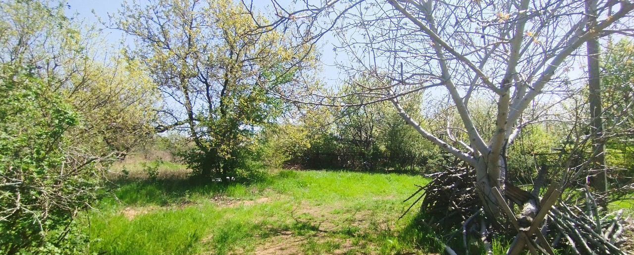 земля р-н Ейский г Ейск п Широчанка снт Строитель Широчанка, 6-я дорожка фото 2