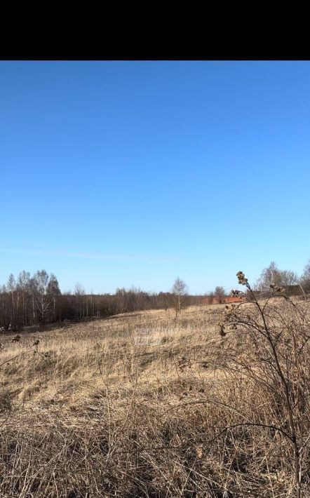 земля р-н Богородский г Богородск ул Мира фото 4