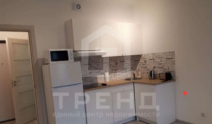 квартира г Санкт-Петербург дор Торфяная 15к/3 ЖК «ArtLine в Приморском» Старая деревня фото 3