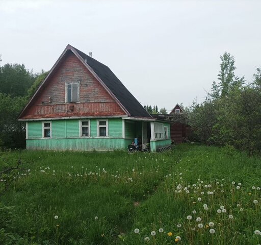 снт Юлия Мурманское шоссе, 49 км, Путиловское сельское поселение, 2-я аллея, 115, Приладожский, садоводческий массив Назия фото