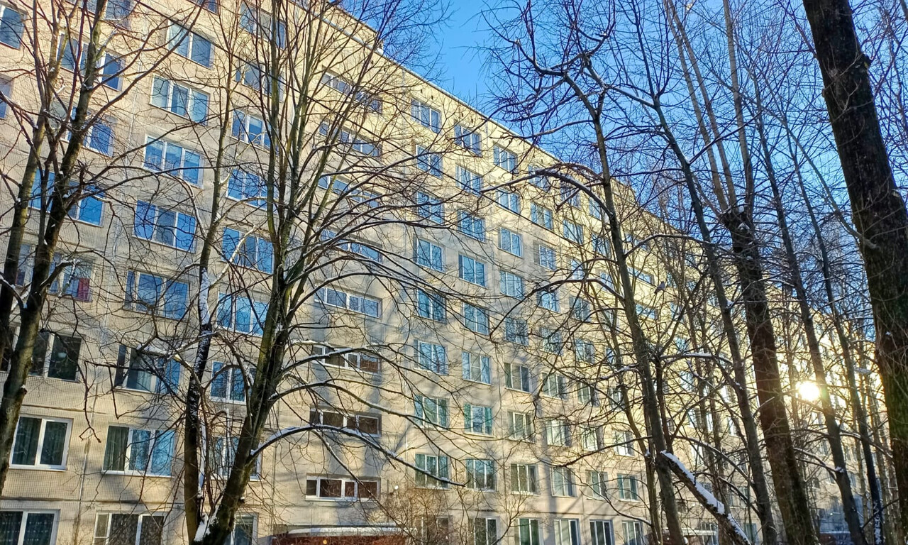 квартира г Санкт-Петербург метро Проспект Просвещения ул Кустодиева 16/1 Муниципальный округ №15 фото 2