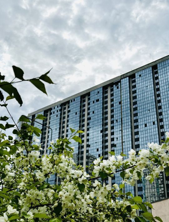 квартира г Екатеринбург Чкаловская ул Громова 26 фото 1