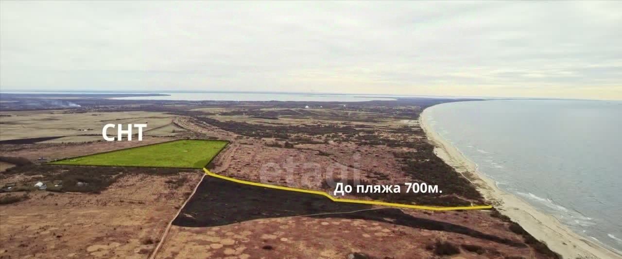 земля р-н Зеленоградский г Зеленоградск Садовые участки фото 2