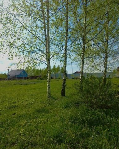 53 км, СДНП жилой пос. Шараповское, 98, Сергиев Посад, Ярославское шоссе фото