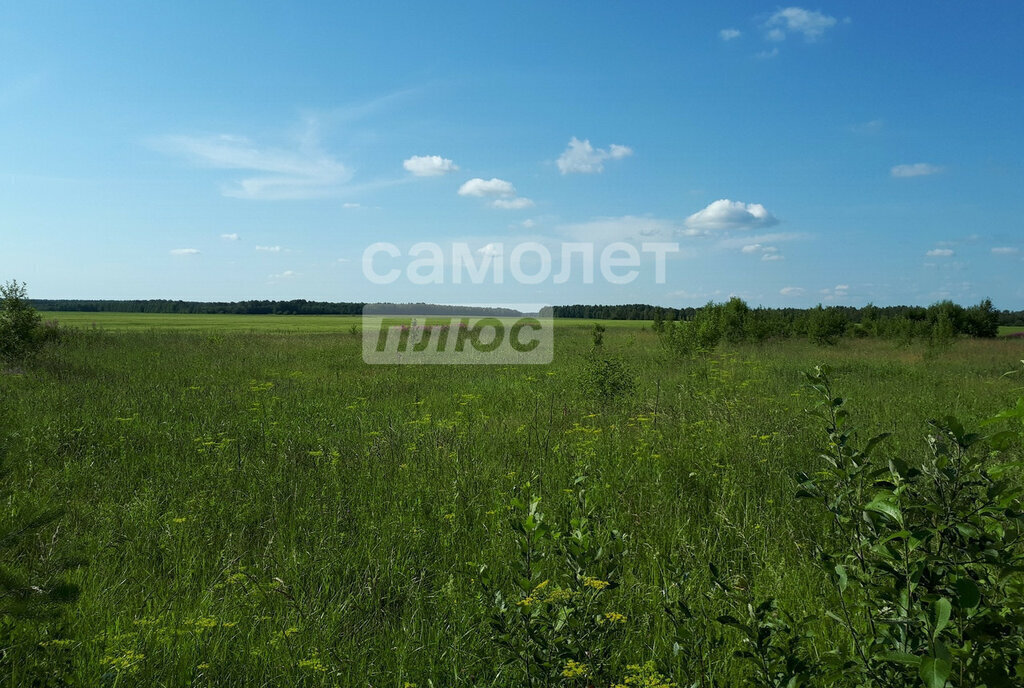 земля г Благовещенск с Верхнеблаговещенское фото 2
