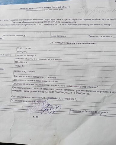 ул Им Л.Мирошина Чичковское сельское поселение, Навля фото