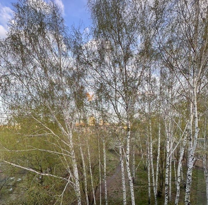 квартира г Екатеринбург Ботаническая Вторчермет ул Палисадная 12 жилрайон фото 8