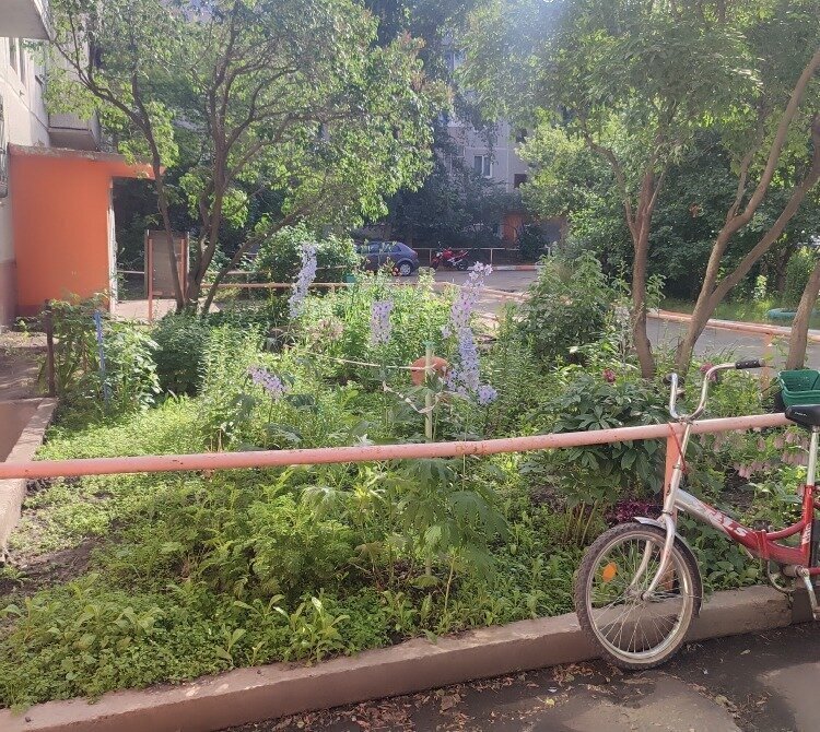 квартира г Омск ул 70 лет Октября 10/1 фото 4