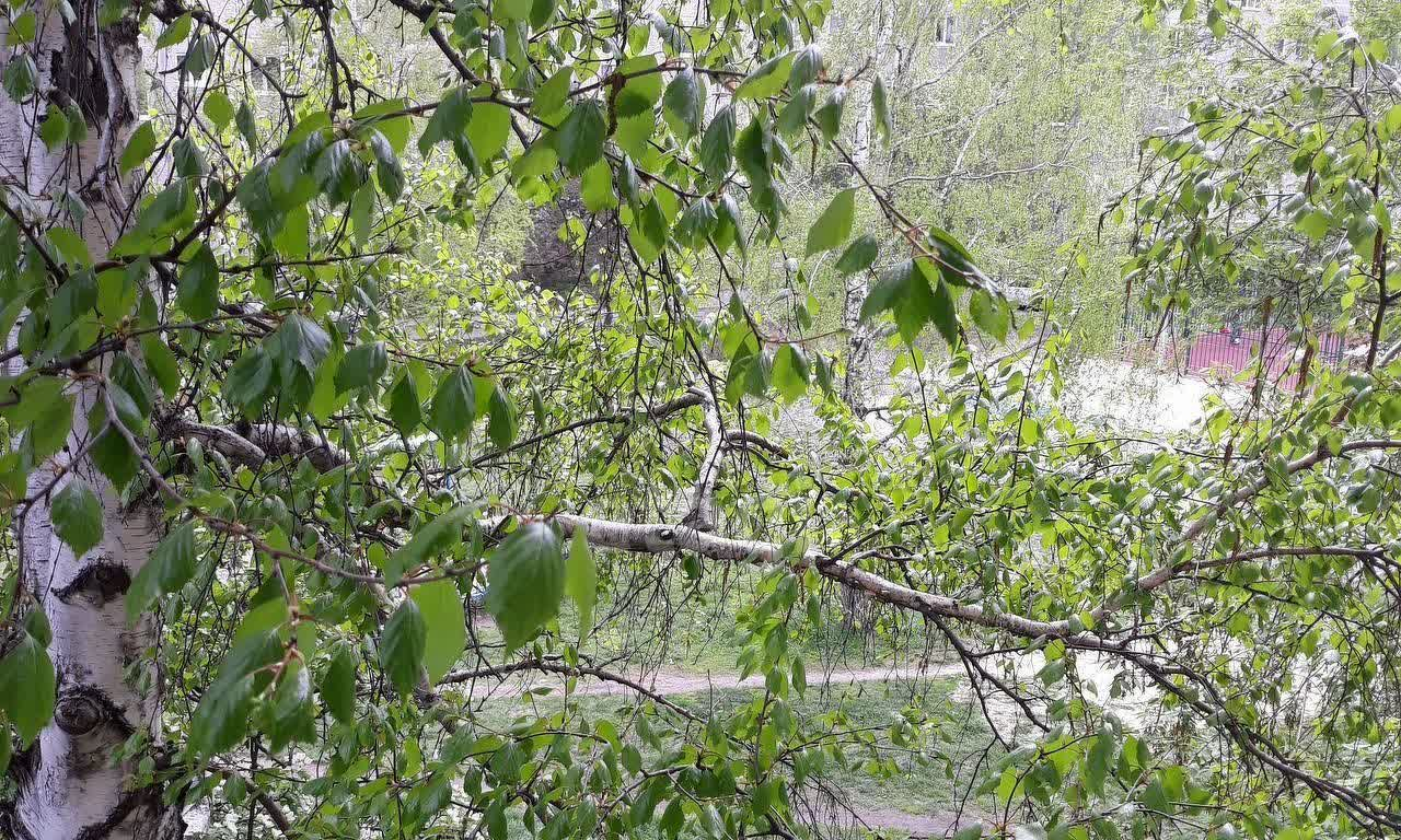 квартира г Екатеринбург р-н Верх-Исетский ВИЗ м-н, улица Металлургов, 32 фото 5