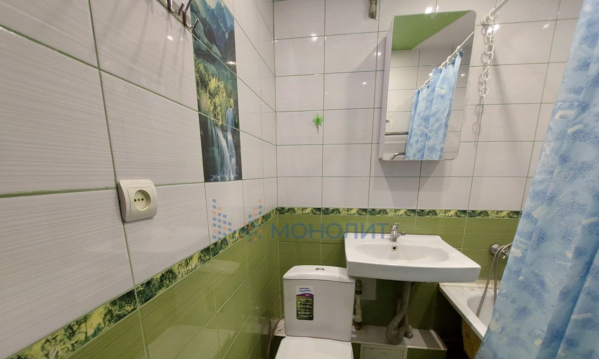 квартира г Нижний Новгород Парк культуры ш Южное 22а фото 9