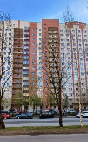 метро Проспект Просвещения дом 7к/1 фото