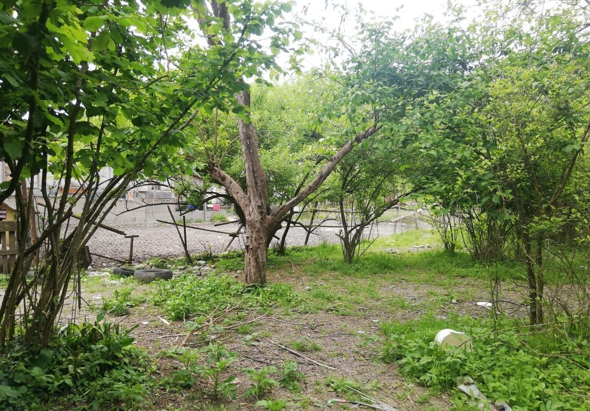 земля г Сочи р-н Лазаревский ул Солоники мкр-н Солоники фото 3