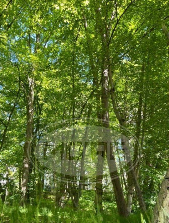 квартира р-н Светлогорский г Светлогорск пер Гагарина 7 фото 12
